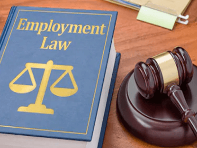 Employment Service & Labour Lawyer